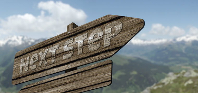 Job Analysis Update and Next Steps